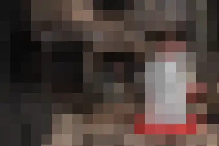 Ruiter 3 Enkhuizen thumbnail 7