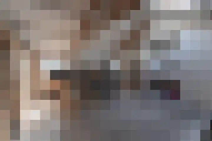 Ruiter 3 Enkhuizen thumbnail 9