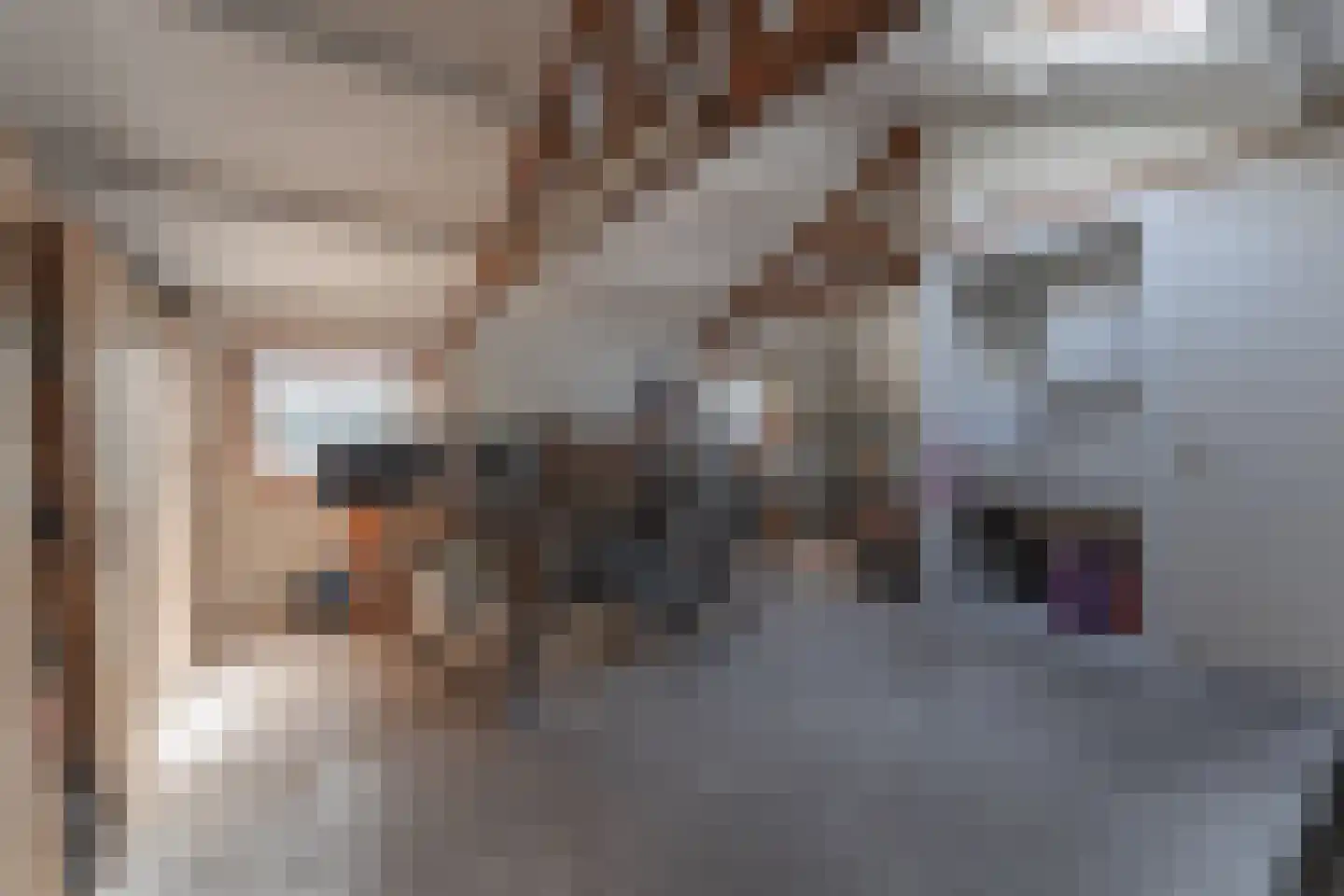 Ruiter 3 Enkhuizen thumbnail 9