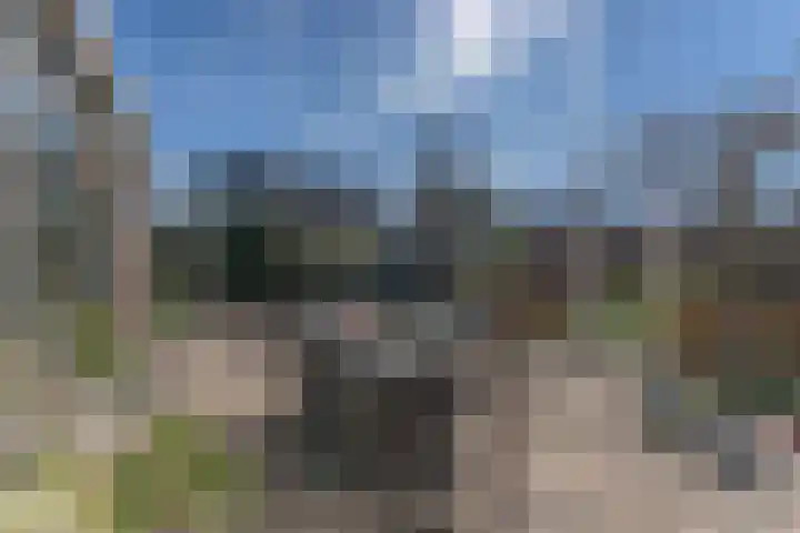 Ruiter 8 Enkhuizen thumbnail 11
