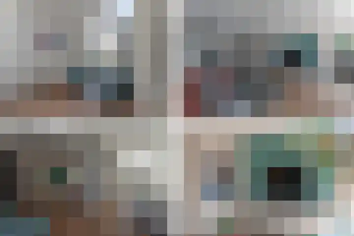 Ruiter 8 Enkhuizen thumbnail 25