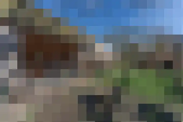 Ruiter 8 Enkhuizen thumbnail 4