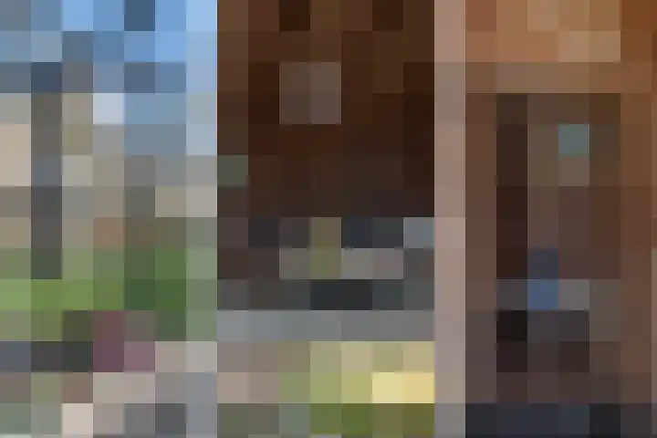 Ruiter 8 Enkhuizen thumbnail 5