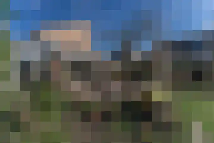 Ruiter 8 Enkhuizen thumbnail 51