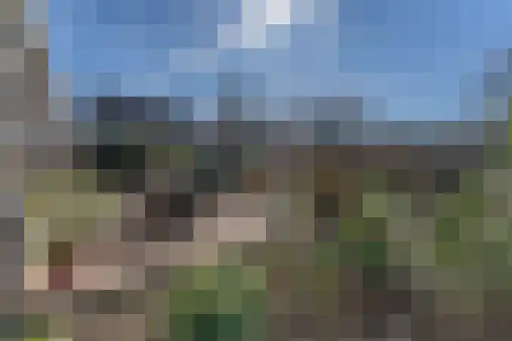 Ruiter 8 Enkhuizen thumbnail 53