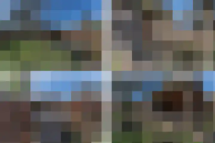 Ruiter 8 Enkhuizen thumbnail 56