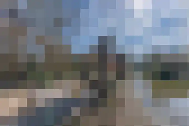 Ruiter 8 Enkhuizen thumbnail 57