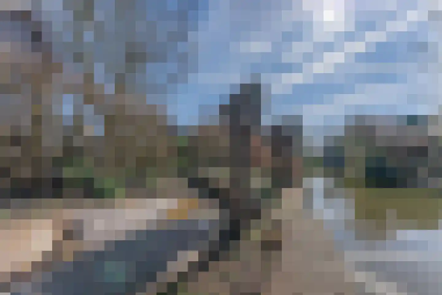 Ruiter 8 Enkhuizen thumbnail 57
