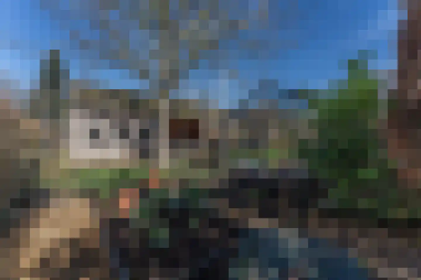 Ruiter 8 Enkhuizen thumbnail 59