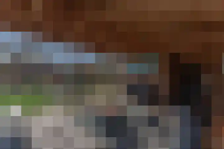Ruiter 8 Enkhuizen thumbnail 6