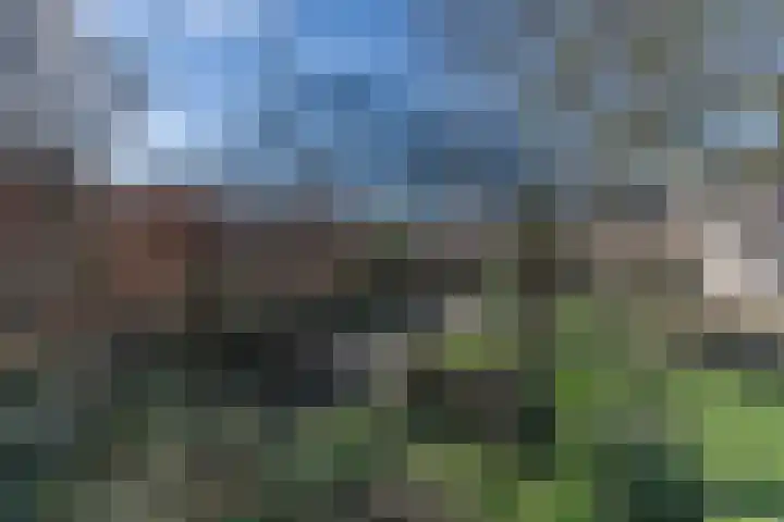 Ruiter 8 Enkhuizen thumbnail 60