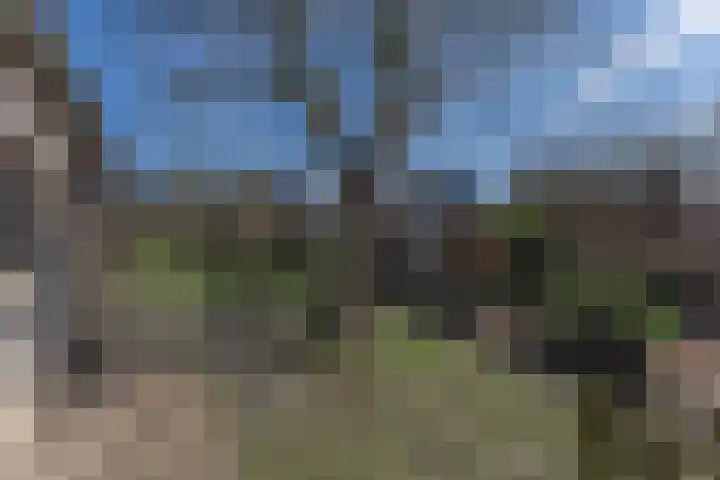 Ruiter 8 Enkhuizen thumbnail 61