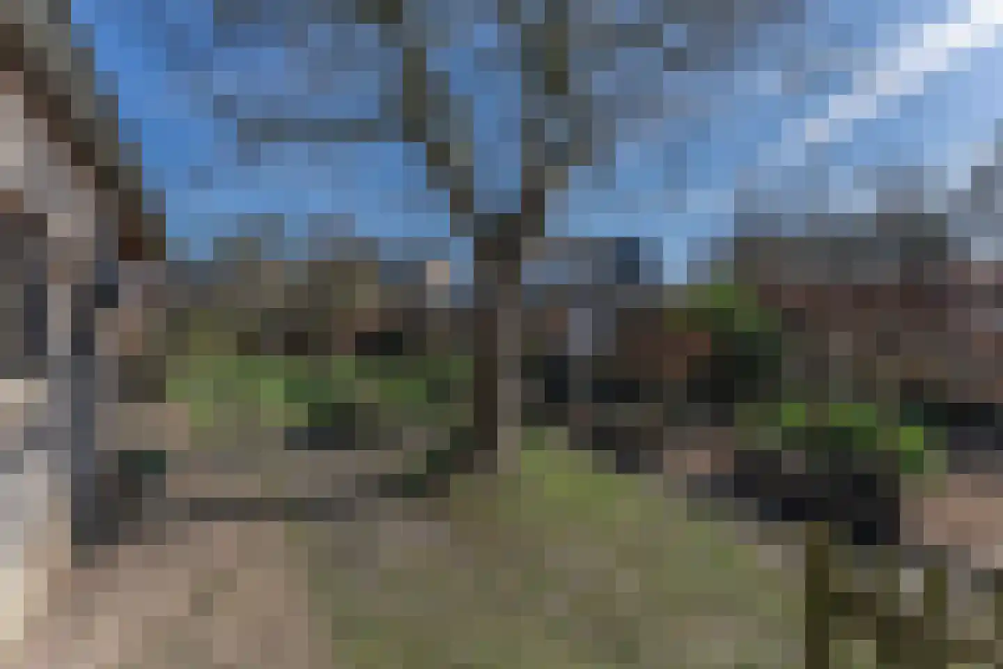 Ruiter 8 Enkhuizen thumbnail 61