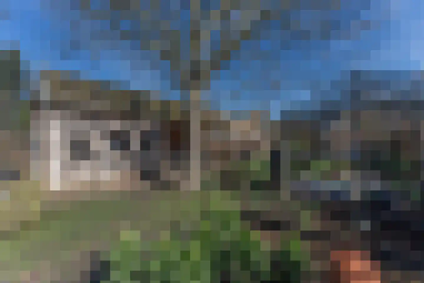 Ruiter 8 Enkhuizen thumbnail 65