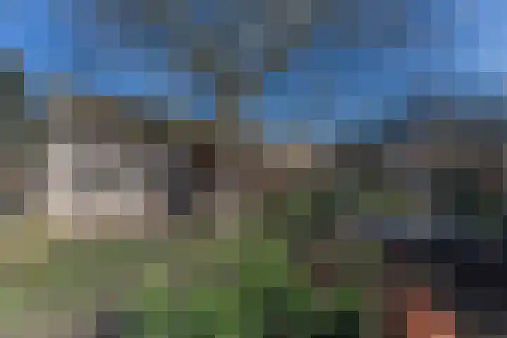 Ruiter 8 Enkhuizen thumbnail 65