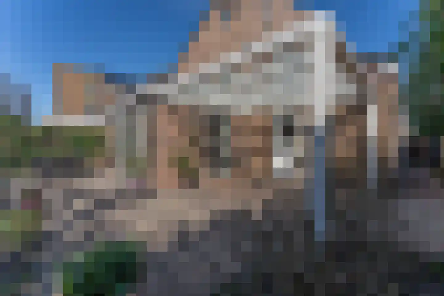 Ruiter 8 Enkhuizen thumbnail 66