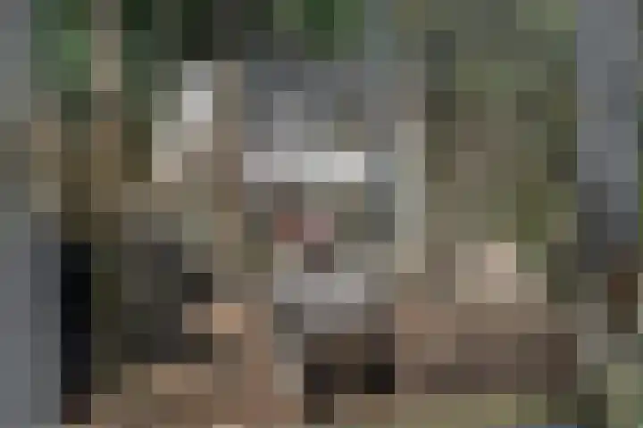 Ruiter 8 Enkhuizen thumbnail 7