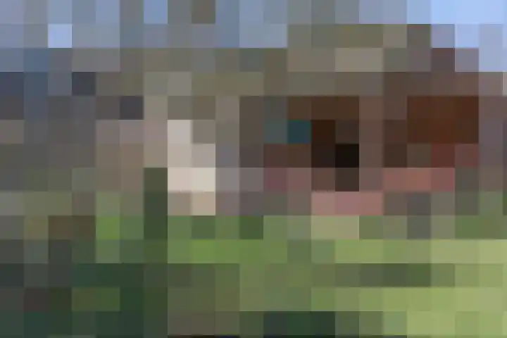 Ruiter 8 Enkhuizen thumbnail 8