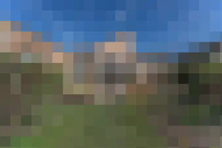 Ruiter 8 Enkhuizen thumbnail 9