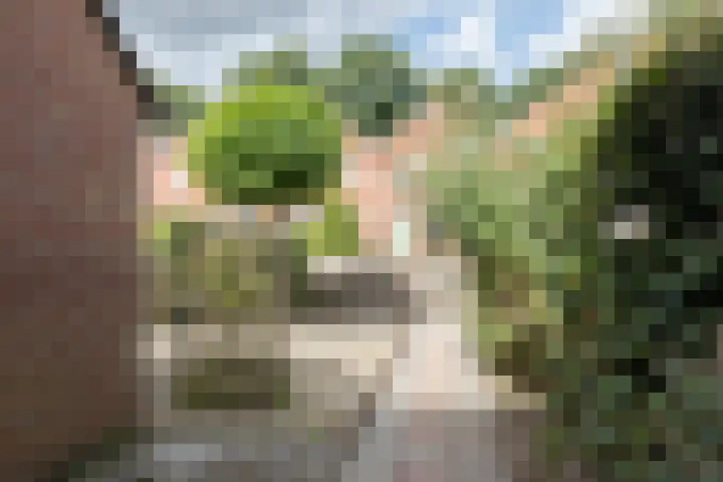 Ruiterakker 121 Assen thumbnail 32