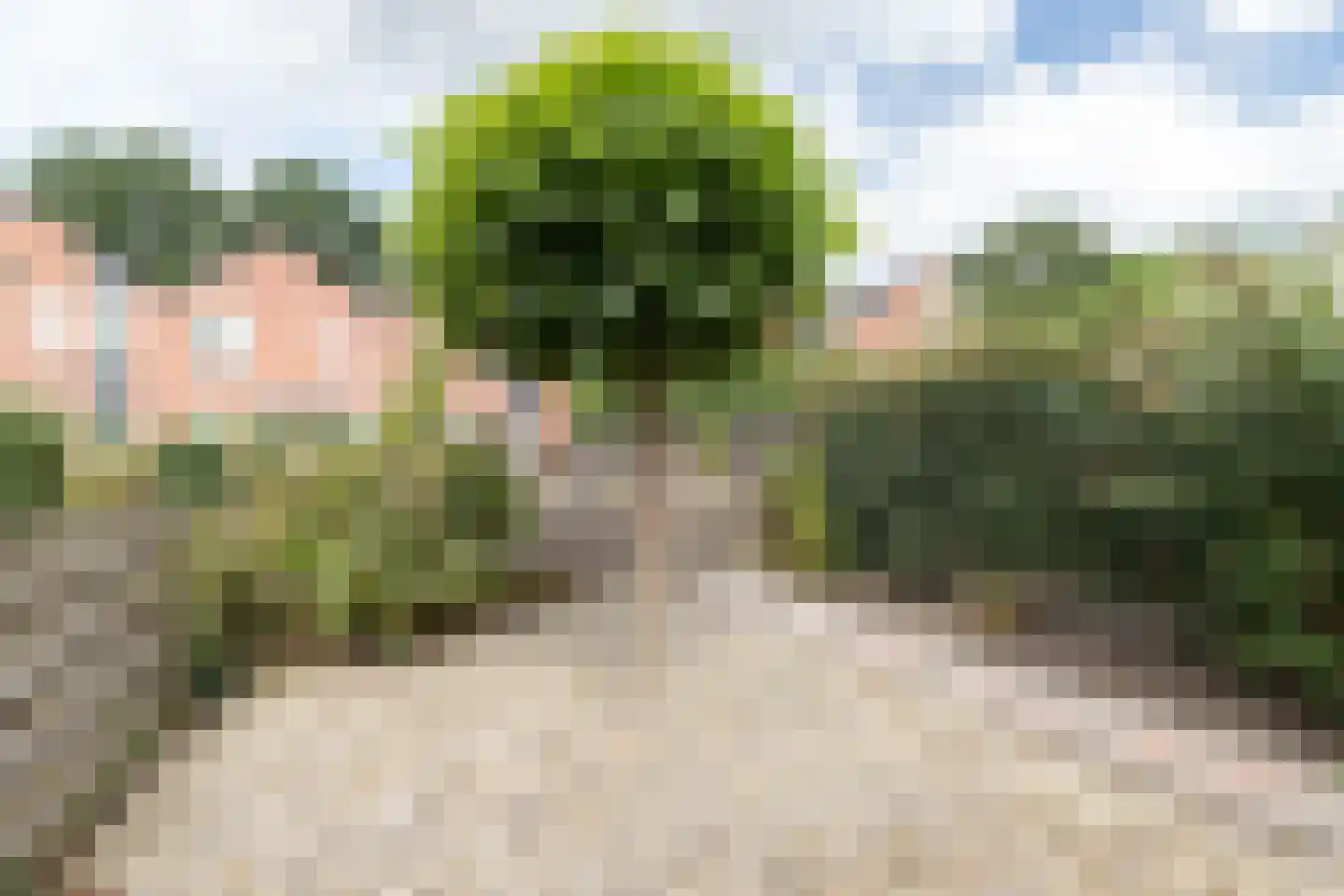 Ruiterakker 121 Assen thumbnail 34