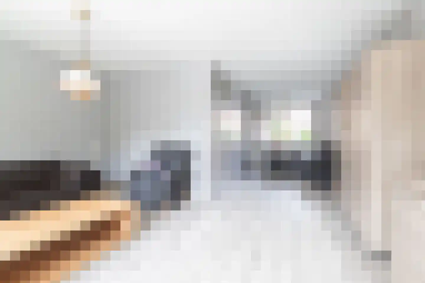 Ruiterakker 121 Assen thumbnail 8