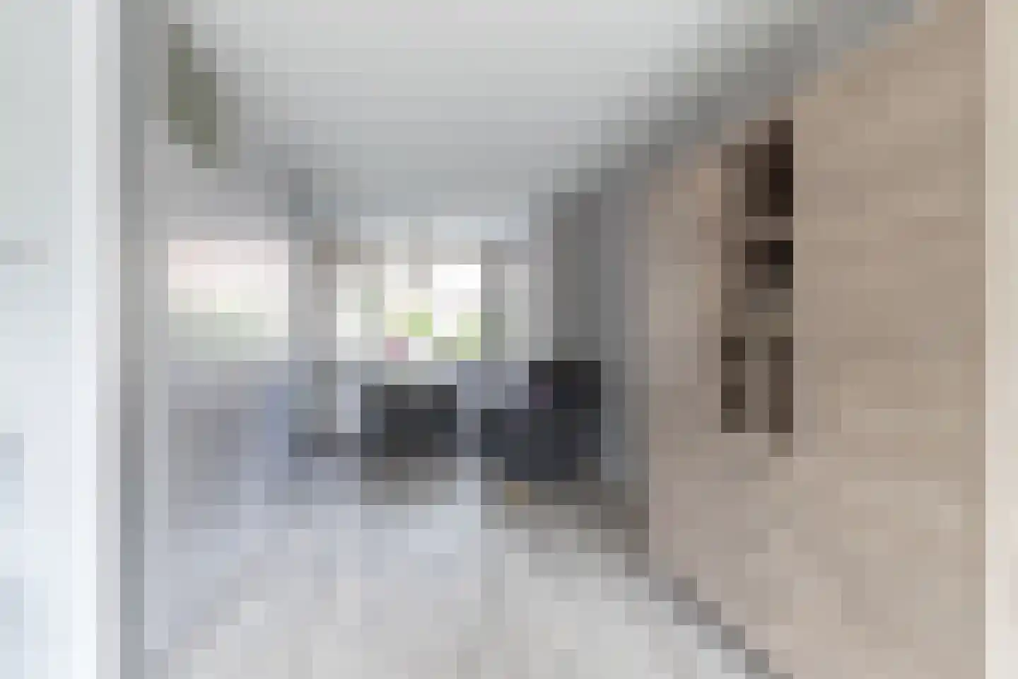 Ruiterakker 121 Assen thumbnail 9