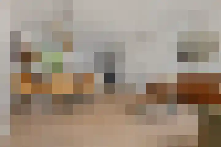 Ruiterakker 127 Assen thumbnail 11