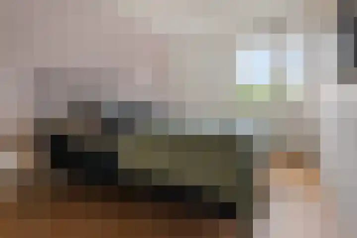 Ruiterakker 127 Assen thumbnail 21