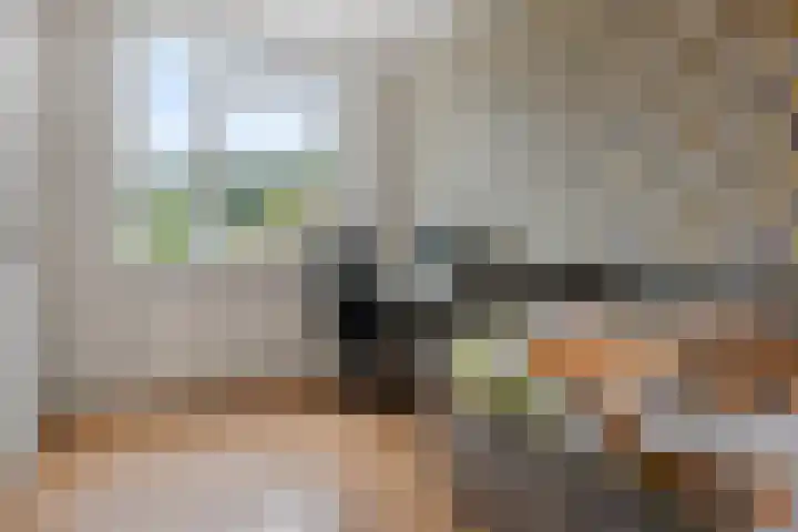 Ruiterakker 127 Assen thumbnail 23