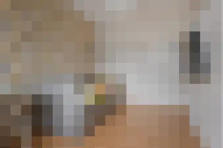 Ruiterakker 127 Assen thumbnail 24