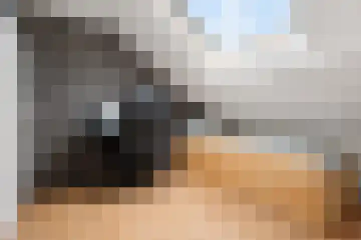 Ruiterakker 127 Assen thumbnail 31