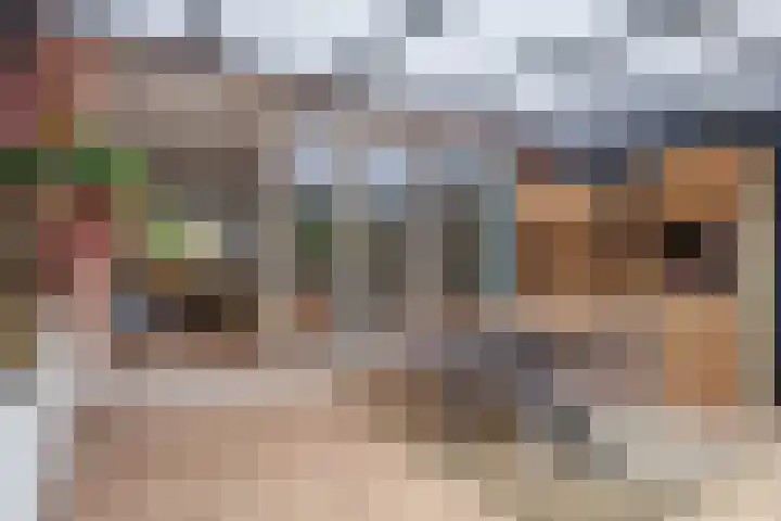 Ruiterakker 127 Assen thumbnail 33