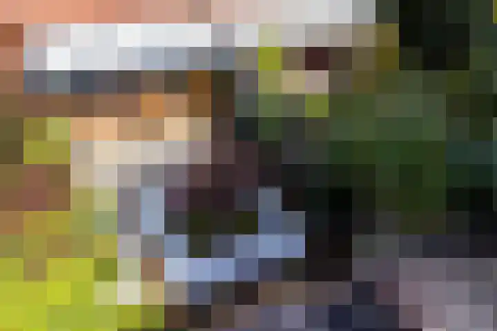 Ruiterakker 127 Assen thumbnail 39