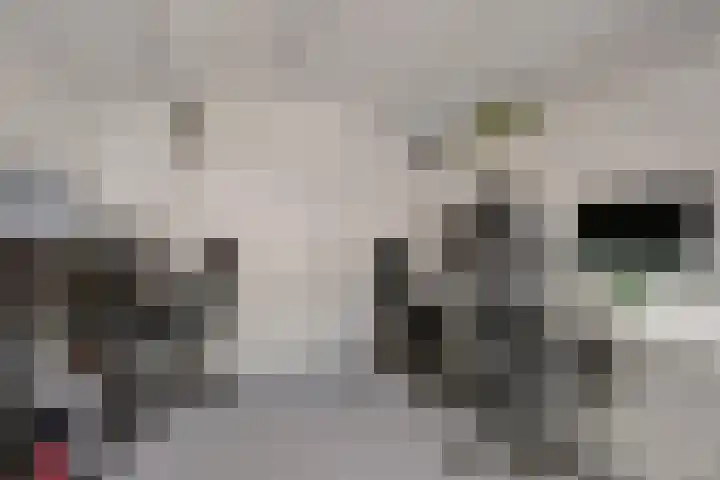 Ruiterakker 127 Assen thumbnail 40