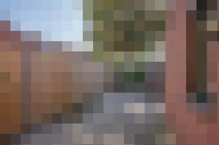 Ruiterakker 138 Assen thumbnail 12