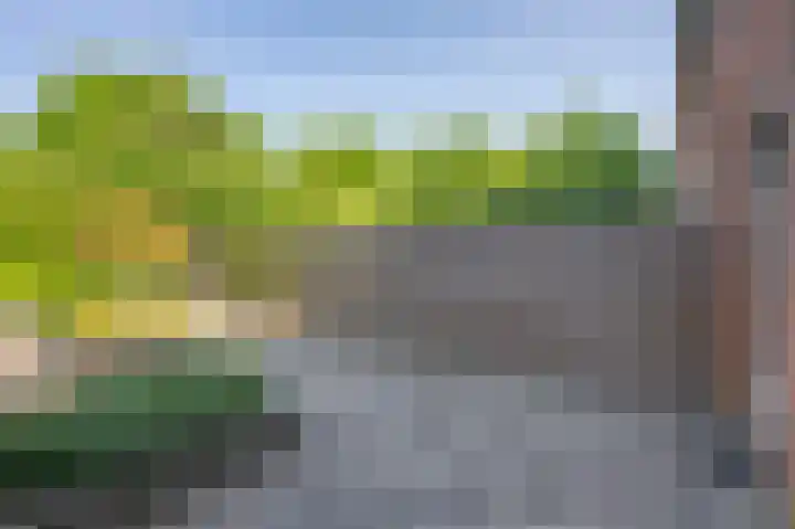 Ruiterakker 138 Assen thumbnail 32