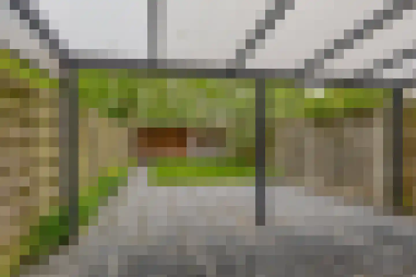 Ruiterakker 149 Assen thumbnail 22