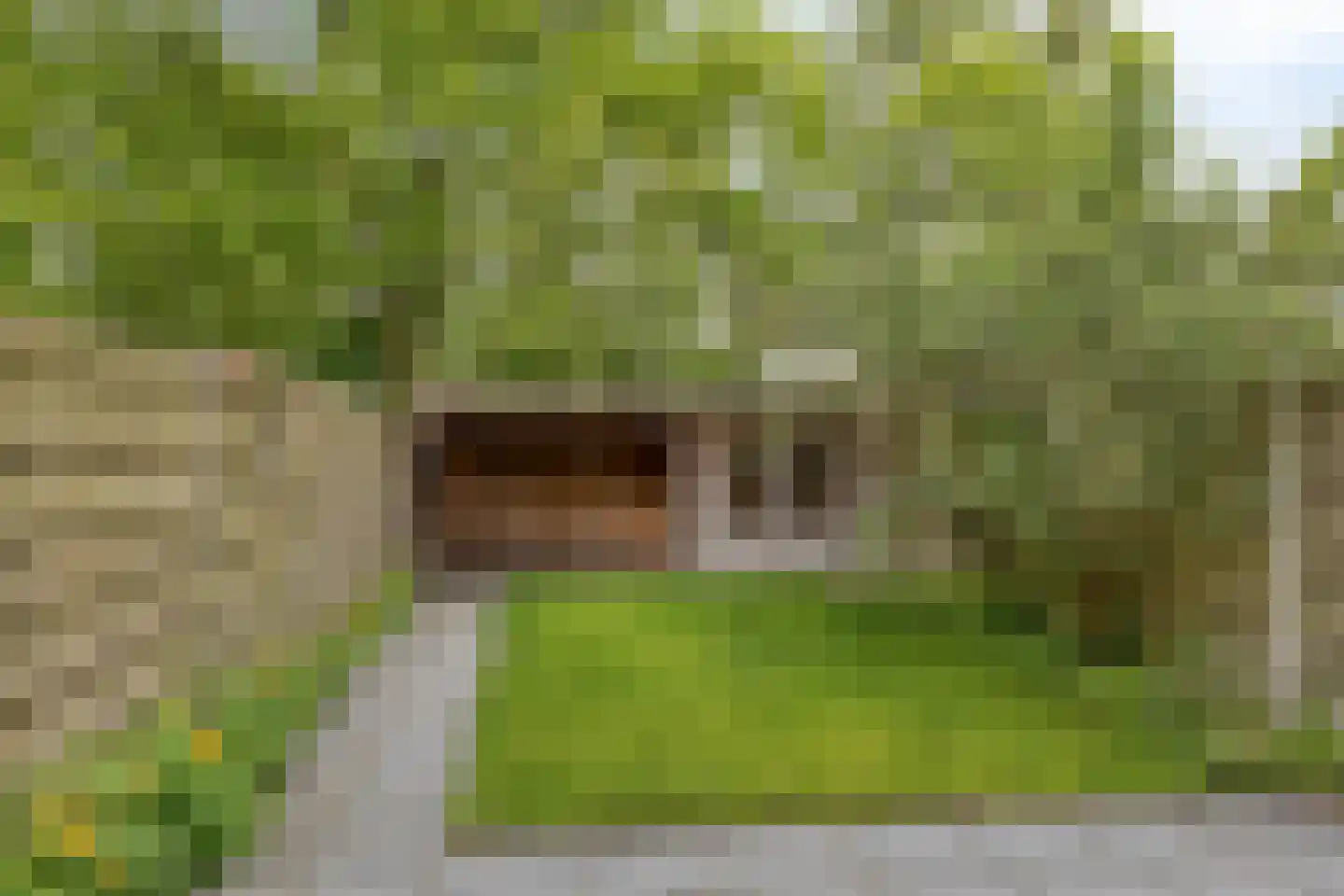 Ruiterakker 149 Assen thumbnail 23