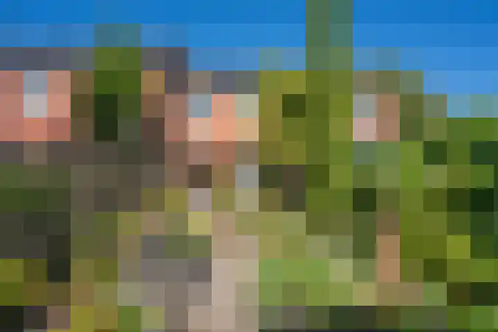 Ruiterakker 156 in Assen