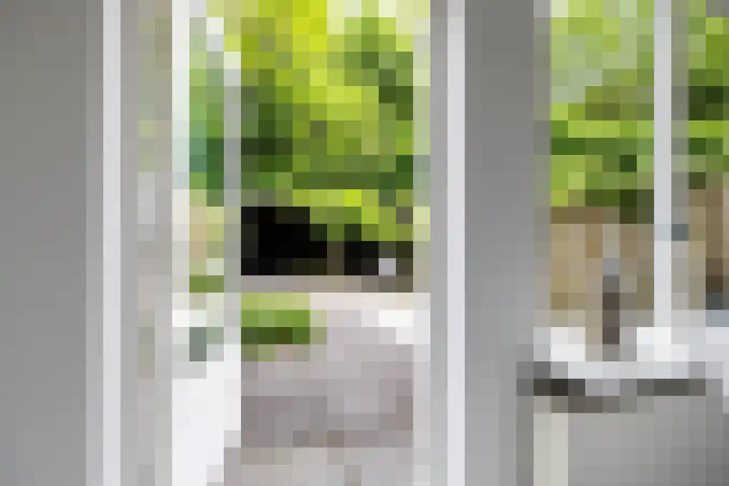 Ruiterakker 29 Assen thumbnail 19