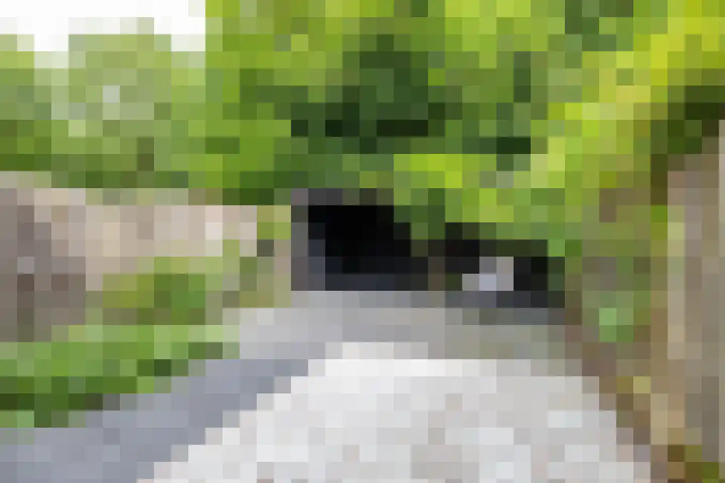 Ruiterakker 29 Assen thumbnail 20