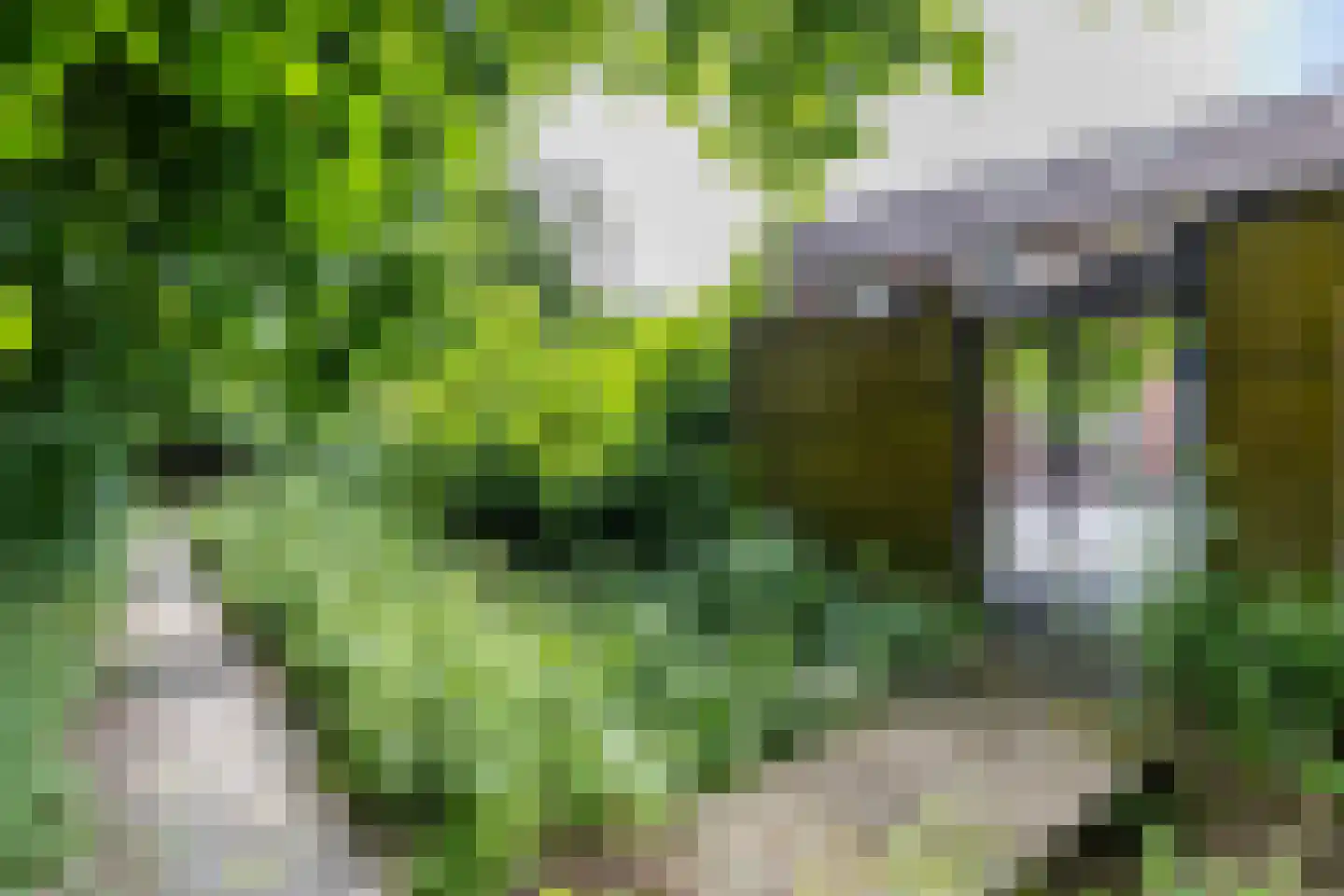 Ruiterakker 29 Assen thumbnail 22