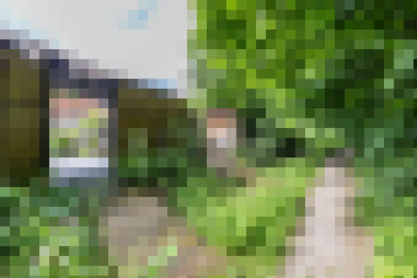 Ruiterakker 29 Assen thumbnail 23