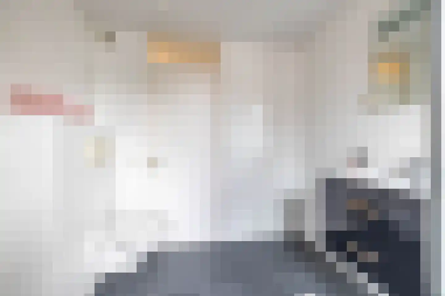 Ruiterakker 29 Assen thumbnail 36