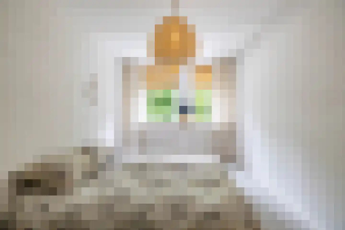 Ruiterakker 29 Assen thumbnail 5