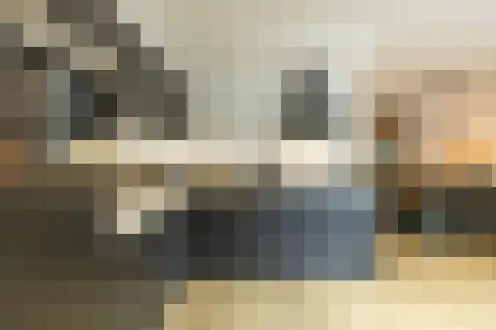 Ruiterakker 67 Assen thumbnail 11