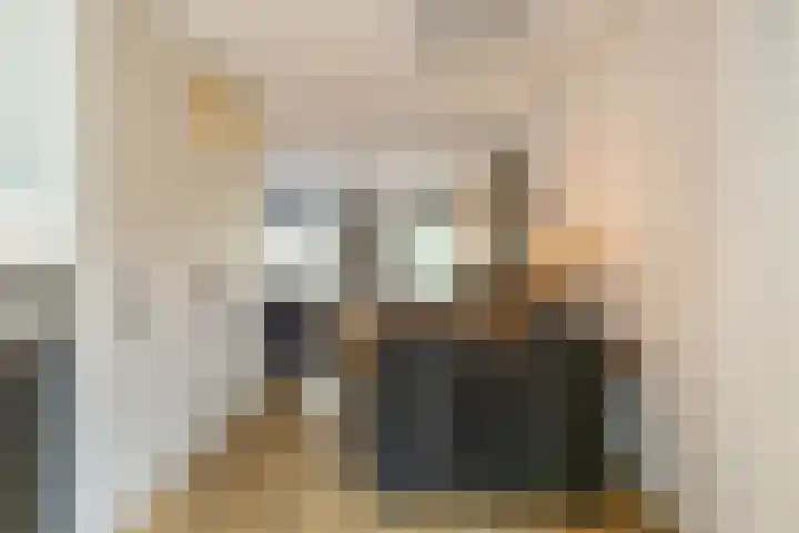 Ruiterakker 67 Assen thumbnail 16