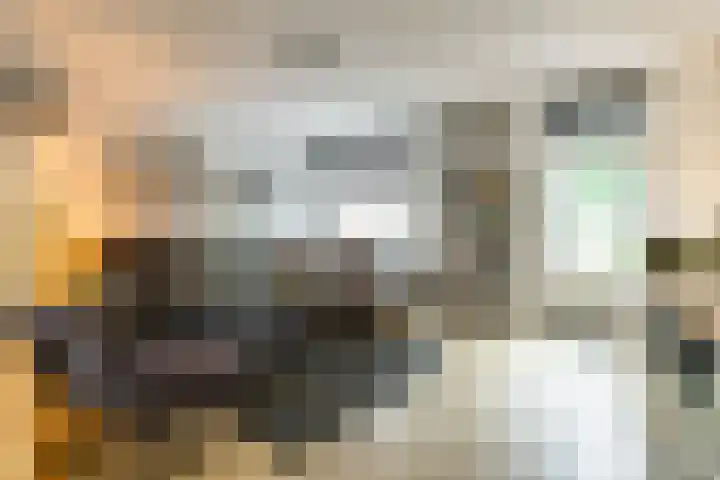 Ruiterakker 67 Assen thumbnail 20