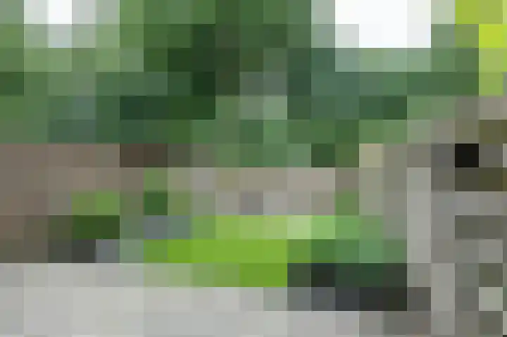 Ruiterakker 67 Assen thumbnail 25